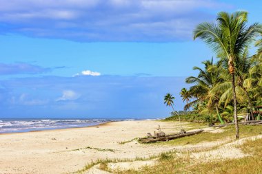 Hindistan cevizi ağaçlarıyla çevrili ıssız bir plaj ve Brezilya 'nın kuzeydoğu bölgesinin tipik bir teknesi olan Serra Grande, Bahia' da kumsalda sal olarak adlandırılıyor.