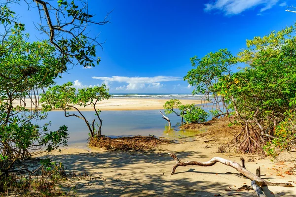 Rencontre Entre Mangrove Rivière Sable Mer Sur Plage Sargi Serra — Photo