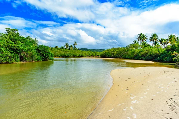 Rivier Met Groenstromend Water Door Mangrovevegetatie Het Regenwoud Serra Grande — Stockfoto