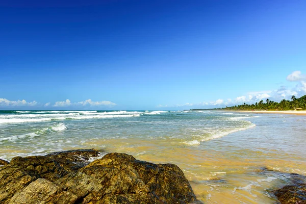 Пляж Серра Окруженный Морем Кокосовыми Пальмами Серра Гранде Побережье Баия — стоковое фото