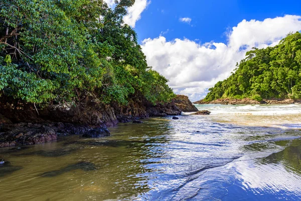 Paradisiacal Tartósított Strand Itacare Bahia Között Trópusi Erdő Sziklák — Stock Fotó