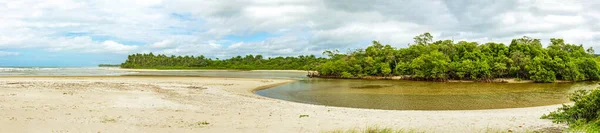 Folyó Kanyargós Erdők Mangrove Tenger Felé Sargi Strand Serra Grande — Stock Fotó