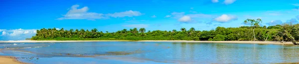 Fotografía Panorámica Con Río Los Manglares Playa Junto Selva Tropical —  Fotos de Stock