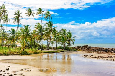 Brezilya 'nın kuzeydoğusundaki Bahia kıyısındaki Serra Grande kasabasında kayalar ve hindistan cevizi ağaçlarının arasına gizlenmiş terk edilmiş küçük bir sahil.