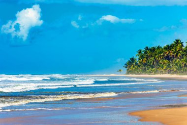 Brezilya, Bahia 'nın güney kıyısındaki Serra Grande' de güneşli bir günde etrafı hindistan cevizi ağaçlarıyla çevrili, tamamen ıssız Sargi plajı.