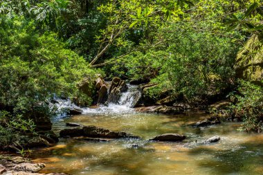Brezilya 'nın Minas Gerais eyaletindeki kayalar ve bitkilerin arasından akan küçük bir nehir.