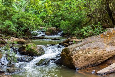 Brezilya 'nın Minas Gerais kentindeki orman bitkilerinin arasında ağaç gövdeleri ve taşlarla dolu bir nehir.