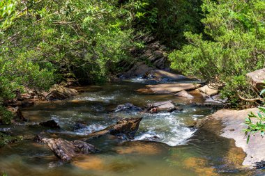 Brezilya 'nın Minas Gerais kentindeki orman bitkilerinden akan küçük ve huzurlu bir nehir.