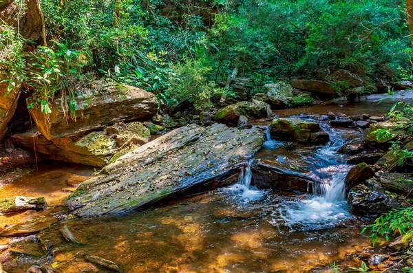 Brezilya 'nın Minas Gerais eyaletinde kayalar ve bitki örtüsü arasında akan suyla ormanın içinden akan küçük bir nehir.