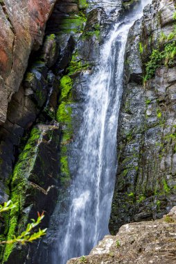 Minas Gerais eyaletindeki Serra do Cipo bölgesinde yosunlu kayalar arasında şelale