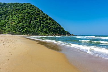 Sao Paulo eyaletinin kuzey kıyısında Guaruja 'da korunmuş ormanları olan terk edilmiş bir plaj.