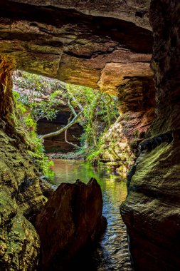 Carrancas, Minas Gerais, Brezilya 'daki mağara ve yağmur ormanlarını geçen nehir.