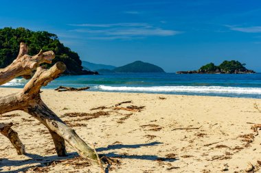 Ilhabela adasındaki güzel Bonete plajının fotoğrafı.