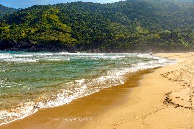 Sao Paulo 'daki Ilhabela adasında Bonete kumsalındaki tepeler ve ormanlar