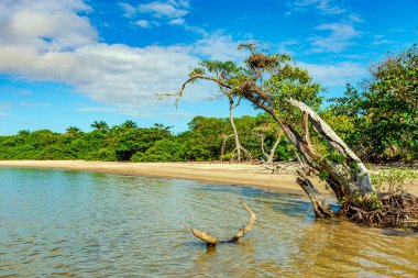 Bahia eyaletinin güney kıyısındaki Serra Grande 'de ıssız ve vahşi bir sahil.