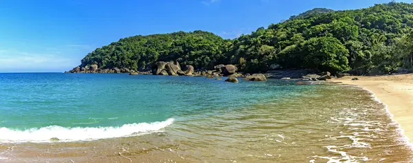 Sao Paulo eyaletinin Ilhabela adasındaki Indaiauba plajı ve ormanı.