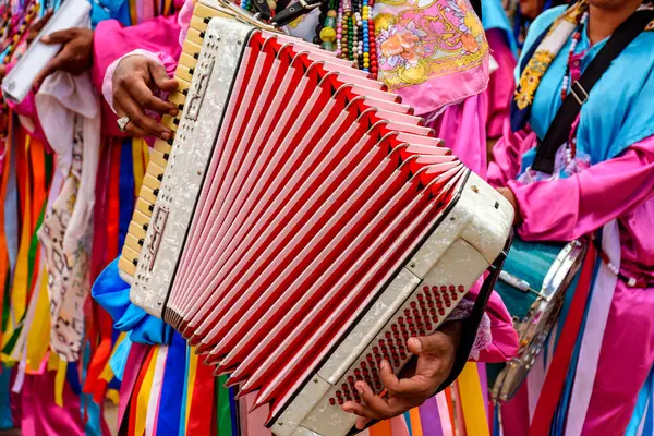 stock image Accordionist playing his instrument during a religious festival in the streets of Belo Horizonte, Brazil