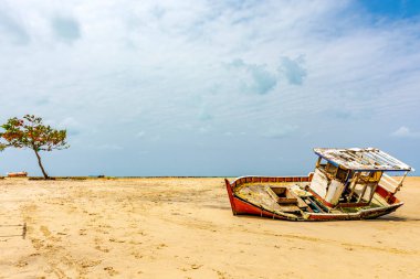 Olinda, Pernambuco 'daki kumsalda mahsur kalmış çürümüş balıkçı teknesi.