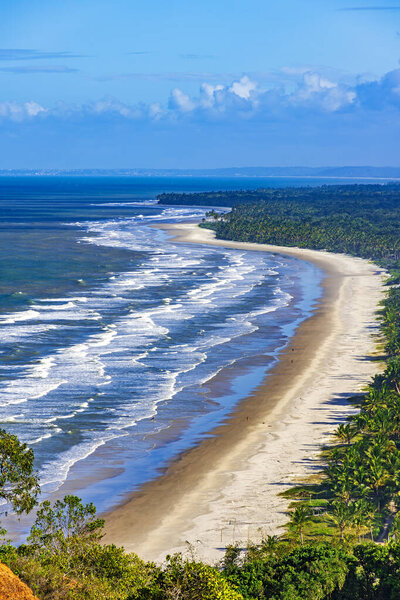 Длинный, пустой пляж, окруженный морем и кокосовыми деревьями в Серра Гранде на южном побережье Бахии