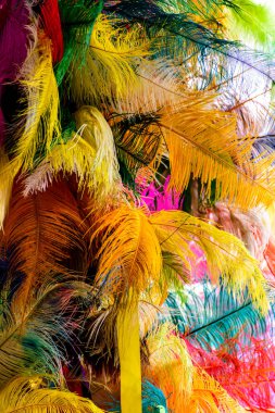 Brezilya 'da karnaval kostümleri yapımında kullanılacak çeşitli renkli tüyler ve tüyler
