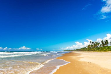 Bahia 'nın güney kıyısındaki Serra Grande' de hindistan cevizi ağaçlarıyla çevrili ıssız bir sahil.