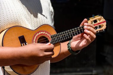 Brezilya sokaklarında bir samba gösterisi sırasında Cavaquinho çalındı