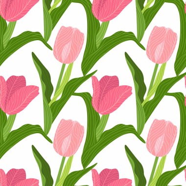 Beyaz arka planda yeşil yaprakları olan kusursuz renkli laleler. El çizimi düz vektör çizimi.