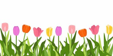 Çiçekli renkli lale bitkileriyle pankart. El çizimi düz vektör çizimi.