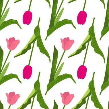 Beyaz arka planda yeşil yaprakları olan kusursuz renkli laleler. El çizimi düz vektör çizimi.