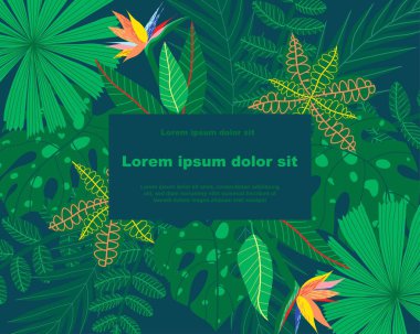 Tropikal bir kuş, çeşitli tropik yapraklar ve çiçekler içeren bir bitki örtüsü tasviri, metin tutucu ile. Sosyal medya iletileri, mobil uygulamalar, pankart tasarımı ve web için ideal
