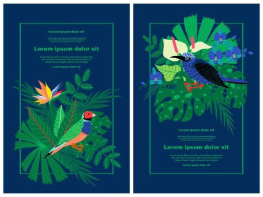 Çeşitli tropikal kuşlar, yapraklar ve çiçeklerin yer aldığı iki dikdörtgen botanik çizim, her birinin bir metin tutacağı var. Sosyal medya paylaşımları, mobil uygulamalar, pankart tasarımı ve web için elverişli.