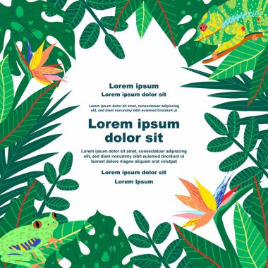 Tropikal hayvanların, çeşitli tropikal yaprakların ve çiçeklerin bir metin tutucuyla birlikte bulunduğu botanik bir arka plan tasviri. Sosyal medya iletileri, mobil uygulamalar, pankart tasarımı ve web için ideal
