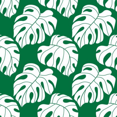Çeşitli canavar yapraklarından oluşan, tropikal, pürüzsüz bir desen. Geometrik tek renkli arka plan. Baskı, duvar sanatı, duvar kağıdı, tekstil ve ambalaj kağıdı için botanik doku tasarımı. El çizimi.