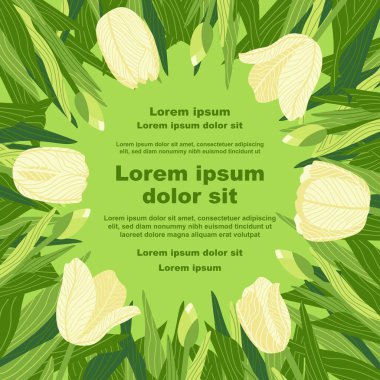 Çeşitli lale çiçeklerinin yer aldığı bir çiçek arkaplanının tasviri, bir metin tutucu ile. Afişler, kapaklar, tebrik kartları, davetiyeler, posterler ve diğer tasarım şablonları için ideal. El çizimi.