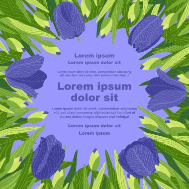 Çeşitli lale çiçeklerinin yer aldığı bir çiçek arkaplanının tasviri, bir metin tutucu ile. Afişler, kapaklar, tebrik kartları, davetiyeler, posterler ve diğer tasarım şablonları için ideal. El çizimi.