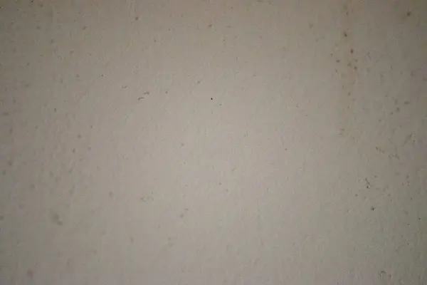 Doğal ışıkla aydınlatılan beyaz dokunun detaylı bir yakın çekimi, karmaşık, kumlu bir yüzeyi ortaya çıkarıyor arka plan ya da doğal temalar için mükemmel..