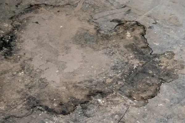 Yıpranmış beton yüzey ayrıntılı lekeleme kalıpları sergiliyor, sert ve organik bir doku yaratıyor..