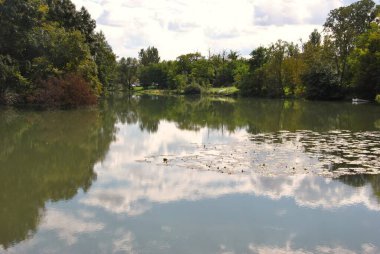 Macaristan 'daki Mosoni Tuna şubesi yazın güzeldir..