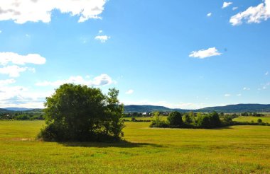Güzel bir öğleden sonra, tepeler ve beyaz bulutlar yeşil bir çayırın arkasında görünür..