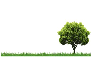 Beyaz arka planı olan yeşil bir alanda büyük bir ağaç.