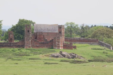 Tarladaki antik bir şatonun kalıntıları.