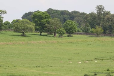 Kırsal bir görünümünü