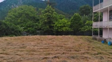 Kırsal evimizin önündeki kozalaklı ormanla kaplı bir çim ve dağ. Bu çimenler çoktan sarıya dönmüş ve samana dönüşmüş. Bu saman düzgünce istiflenmiş.