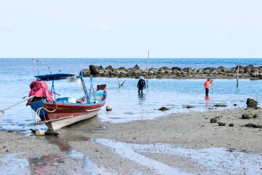 Fishermen collecting seafood during low tide near a boat on a serene coastal beach with rocky background. clipart