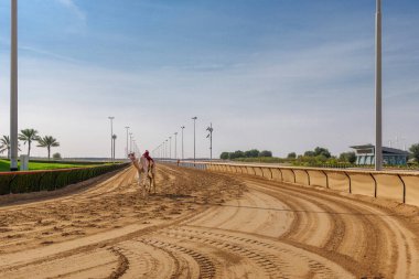 Robot jokeylerle yarış devesi, Dubai, Birleşik Arap Emirlikleri. Geleneksel deve yarışı
