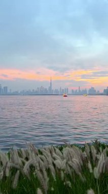 Dubai limanından gün batımına doğru Dubai silueti. Yüksek kalite 4k görüntü