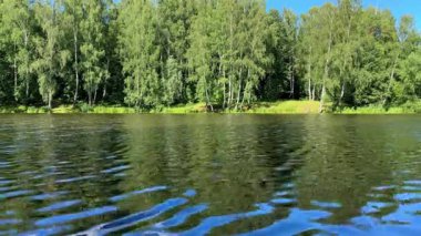 Sahilde yemyeşil ağaçları olan sakin orman nehri, parlak bir yaz gökyüzünün altında suyun berrak yansımaları. Bu nehir manzarası doğanın güzelliğini ve huzurlu açık hava anlarını yakalar.