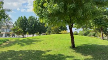 Güneşli bir günde sakin bir konut parkında ağaçlarla kaplı yeşil bir tepe. Mavi gökyüzü, yumuşak gölgeler ve huzurlu atmosfer onu yürümek, dinlenmek ya da doğanın tadını çıkarmak için mükemmel bir yer yapıyor.