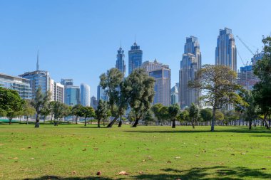 Dubai 'nin merkezinde Dubai şehir merkezinin gökdelenleri manzaralı yeşil bir park. Doğa ve şehir mimarisi arasında yürüyüş, piknik ve rahatlama için harika bir yer.