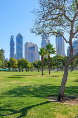 Dubai 'nin merkezinde Dubai şehir merkezinin gökdelenleri manzaralı yeşil bir park. Doğa ve şehir mimarisi arasında yürüyüş, piknik ve rahatlama için harika bir yer.